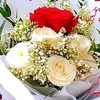 user156300336
