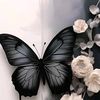 ahmedelmuhammed80