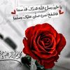 775372104jo