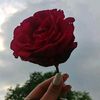 as_ma787