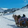 brunogalli42