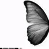 naba9595