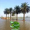 user4169715034223
