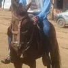 reinaldosouza690