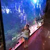 bui.nhan10