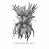 planttapiplatycerium
