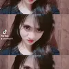 anis53.1