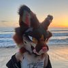 foxsstrut