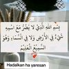 imaandhool