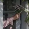 b.e.f.ella