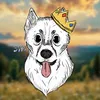 huskyvolt1