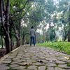 rickydhay95