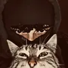 itx_tiger001