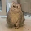 anhbecuaemdayy