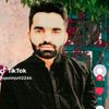 337waris