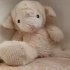 chimpy.maus