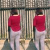 dugong_terdampar92