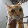 fatimah.azzahroh18