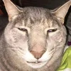 lucifer_vmi0