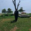 nur.rochman338