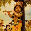 kushan.roy2