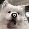 myjjth_