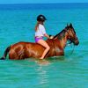horse_girl675