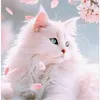 zineb_729