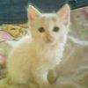 mom.kin_86