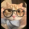 cotienlacotat2