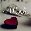user481618955