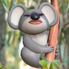 yolokoala