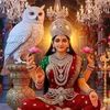 luckysarkar426