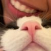 _wthboo
