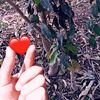 z_hussain301