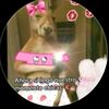 emelysotacuroquispe