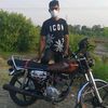 shemshad1