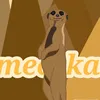 meerkat.man