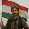 alanmir15