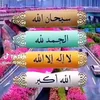 arasamin28