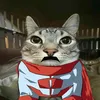 ninja_void56