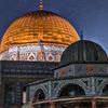 laeez__mono1238