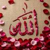 user5054812866194
