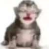 xurrasz