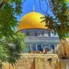 alimahmoud1131