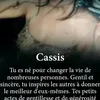 cassispascale