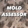 moldtesting
