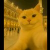 kinaw74