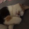 userr_8oh555