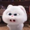 dian_muuu